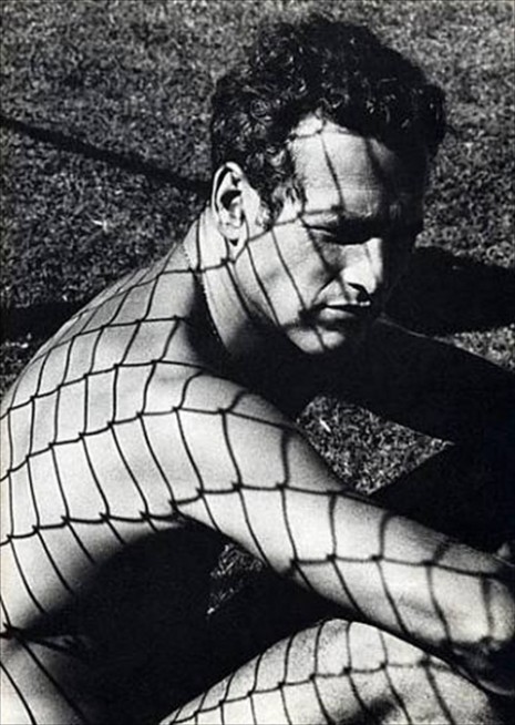 Paul Newman, 1964