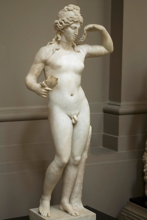 Hermaphroditus,-Lady-Lever-Art-Gallery