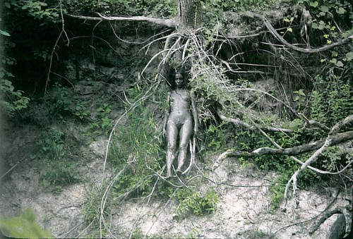 Ana Mendieta Tree of Life 1979