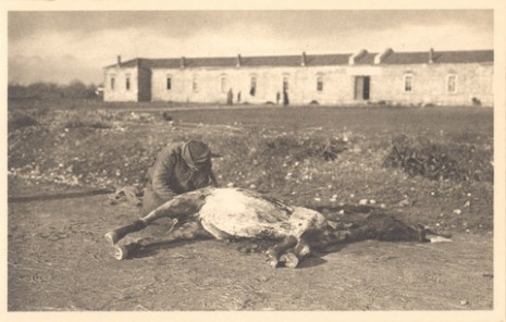 Српски војник једе месо мртвог коња, 1915.