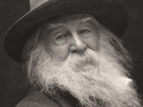 Detail: 1887: Walt Whitman-1819-1892 by George C. Cox: (portrait known as the "Laughing Philosopher") 23.9 x 18.8 cm | 45.2 x 33.3 cm: vintage large format, hand-pulled photogravure printed circa 1905-10 by the Photographische Gesellschaft in Berlin on Van Gelder Zonen plate paper. From: PhotoSeed Archive