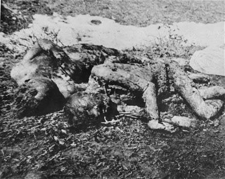 Executed_prisoners_in_Jasenovac