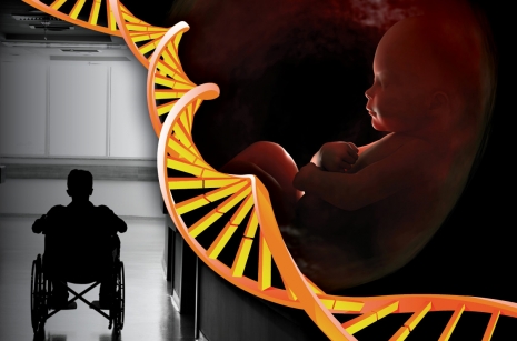 Биоетика – Рађање, развој и значај