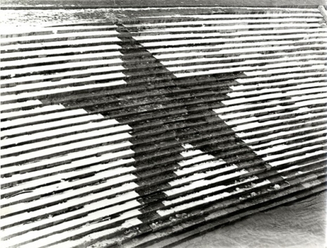 gabor-attalai-negative-star-1970-bw-photograph-392-x-301-mm-marinko-sudac-collection