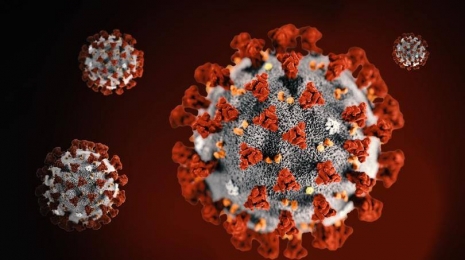 2019 Novel Coronavirus (first detected in Wuhan, China) illustration provided by US Centers for Disease Control and Prevention | Source: AP Images