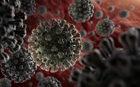 Koronavirus nije živ – Zato je tako teško ubiti ga