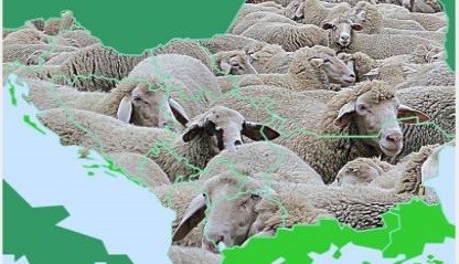 Kako dresirati ovcu – Ladislav Babić