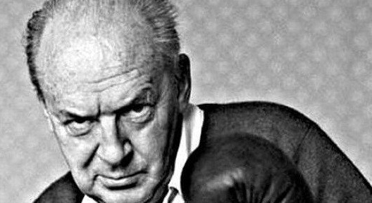 Vladimir Nabokov: Stroga mišljenja