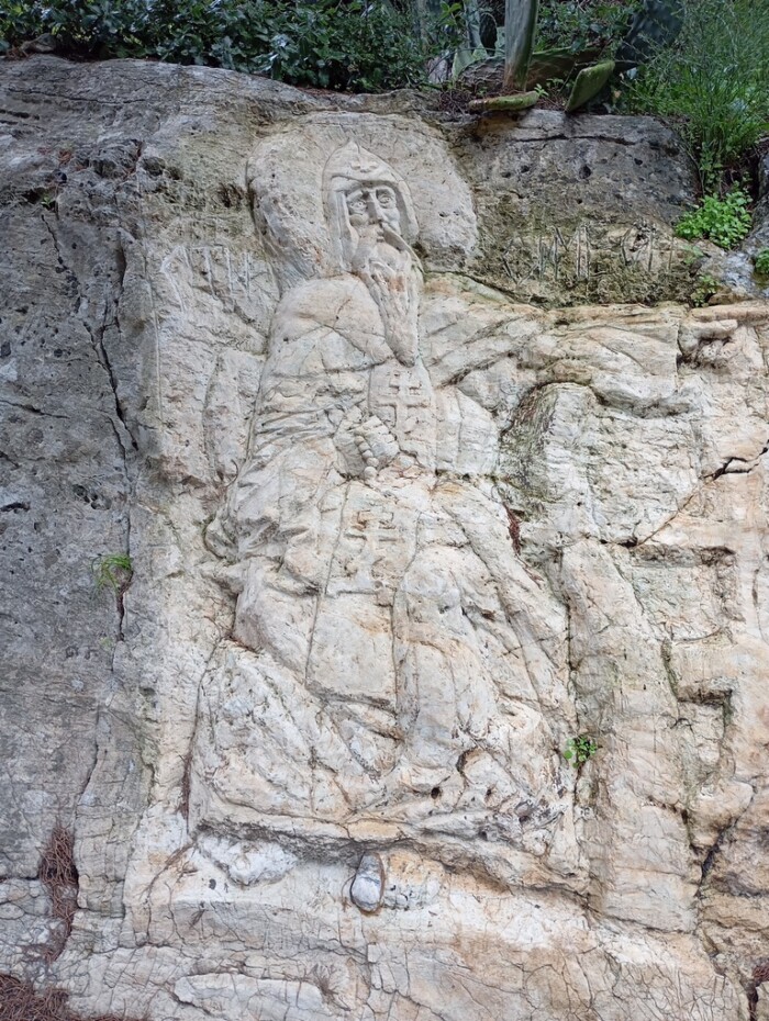 Слика на којој се налази биљка, отворен простор, кречњак, БедрокСадржај генерисан AI-јем може бити нетачан.