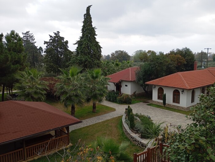 Слика на којој се налази отворен простор, дрво, биљка, облакСадржај генерисан AI-јем може бити нетачан.