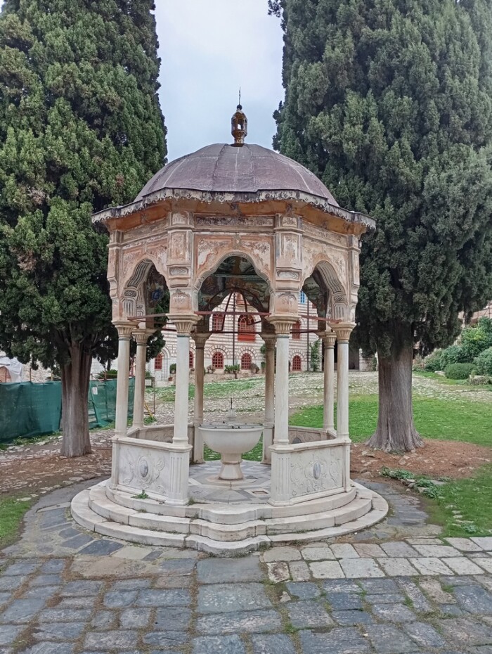 Слика на којој се налази отворен простор, дрво, небо, биљкаСадржај генерисан AI-јем може бити нетачан.