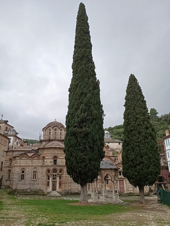 Слика на којој се налази отворен простор, небо, биљка, траваСадржај генерисан AI-јем може бити нетачан.