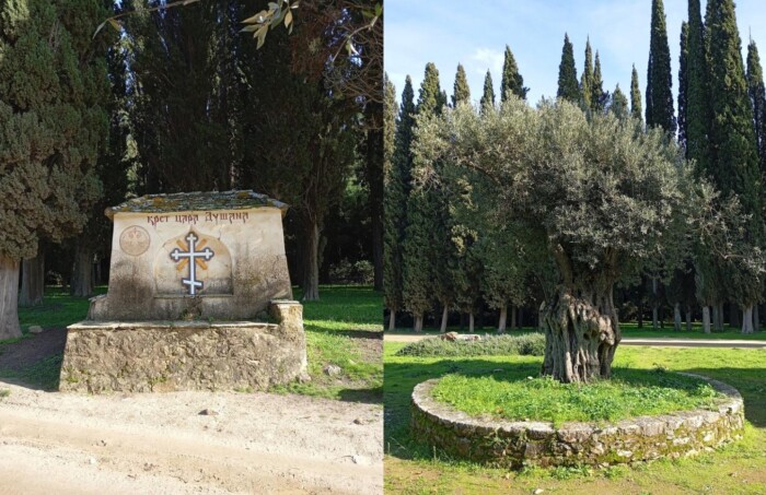 Слика на којој се налази отворен простор, трава, небо, гробСадржај генерисан AI-јем може бити нетачан.