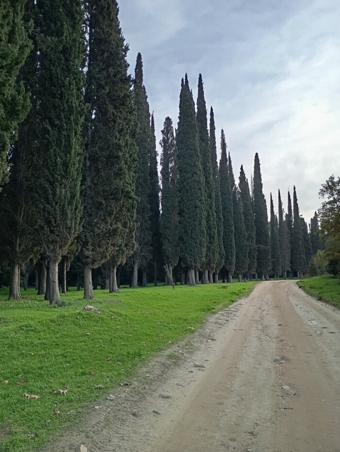 Слика на којој се налази отворен простор, трава, пут, небоСадржај генерисан AI-јем може бити нетачан.