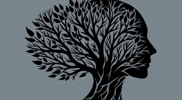 Успење једнако суноврату